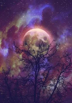 Leafless branches and full moon Ilustração Stock