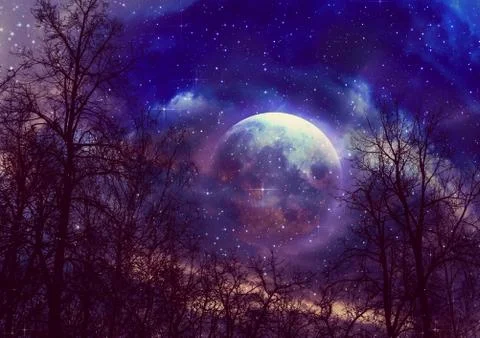 Leafless branches and full moon 스톡 일러스트