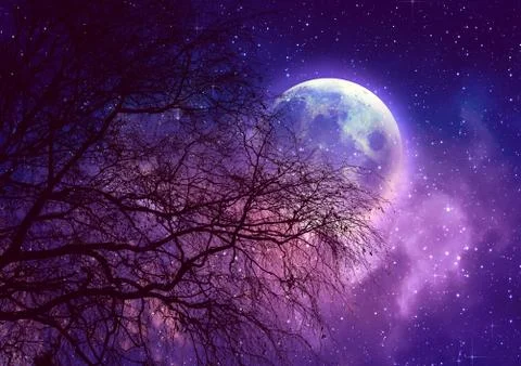 Leafless branches and full moon Stock Illustration