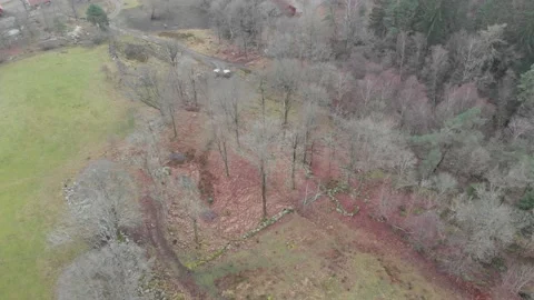 Leafless Deciduous Forest, Aerial Circling Vídeos de archivo 147322108