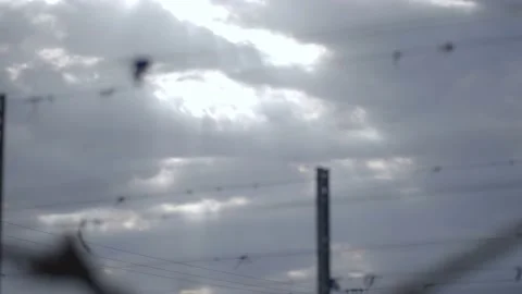 Leafless Grape Vine Rows Spring Time Empty Wine Field Making Agricultural Vídeo Stock 153967451