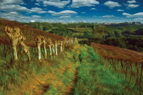 Leafless grapevines on vineyard and skyline Stock Illustration