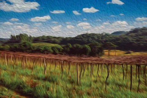Leafless grapevines in a vineyard with house Stock Illustration