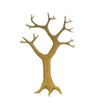 Leafless Plant, Tree with Empty Branches Vector Stock Illustration