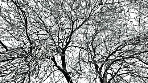 Leafless tree and branches in winter season. Foto stock