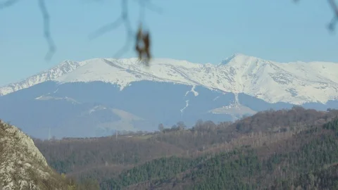 Leafless tree and mountains in Spring 01 Stock Footage 99388875