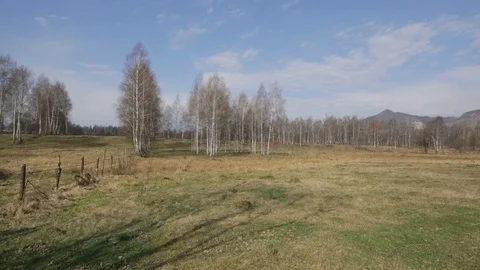 Leafless tree and mountains in Spring 05 Vídeos de archivo 99388967