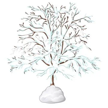 The leafless tree covered with snow isolated on white background. Vector Stock Illustration