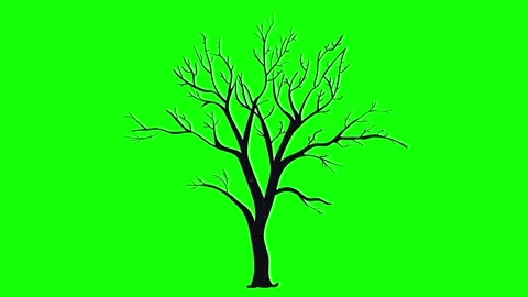 Leafless Tree on Green Screen Stockbeeldmateriaal 311120564