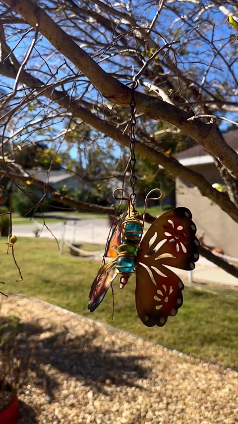 Leafless Tree with Hanging Butterfly Ornament Stock Footage 295817730