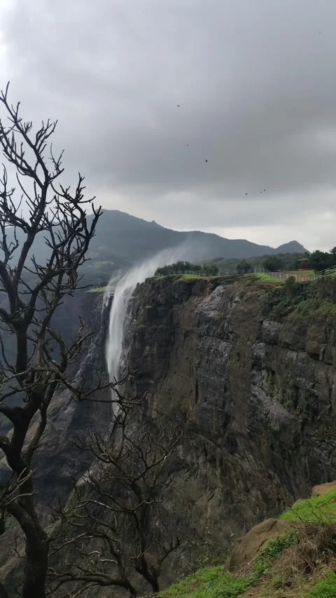 Leafless Tree with Reverse Waterfall and Mountain Landscape Vertical Video Stock Footage 339660379