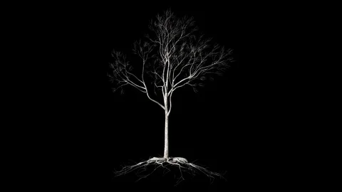 Leafless Tree with roots, timelapse growing, against black Stock Footage 122921628