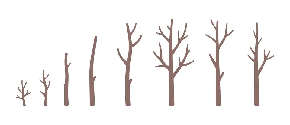 Leafless Tree Vector Set – Bare Winter Trees and Branch Silhouettes イラスト素材