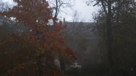 Leafless trees and autumn-colored trees moving with the wind in the street Stock Footage 143077085