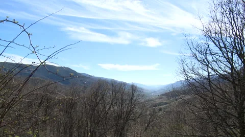 Leafless trees and branches in large valley vantage point Stock Footage 49652704
