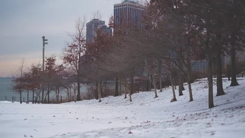 Leafless Trees Blowing in the Wind in Brooklyn Bridge Park in the Snow Stock Footage 301648875