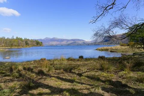Leafless trees cast shadows on the banks of Derwent Water Stock Photos