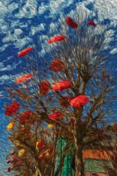 Leafless trees with decorative umbrellas Illustrazione stock