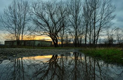 Leafless trees on the edge of a pond left behind by the rain, at sunset Stock Photos