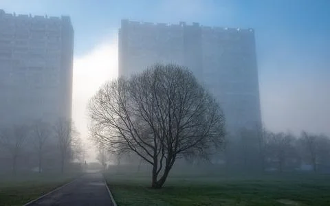 Leafless trees at the foot of tall multi-storey residential buildings in a re Stock Photos