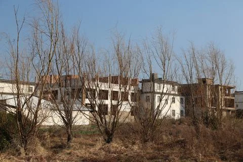Leafless trees in front of white rural buildings under blue sky Stock-Fotos