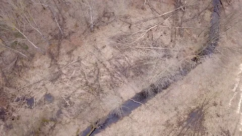 Leafless trees seen from above. Aerial Autumn footage. Video stock 88931709
