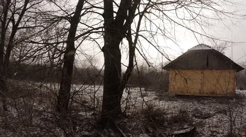 Leafless Trees Stand Near Snow-covered Brick Building Stock Footage 59758611