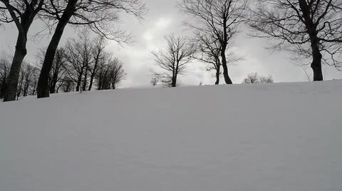 Leafless Trees Stand on Snow-Covered Ground Beneath Passing Over it a Heavy Stock Footage 60604009