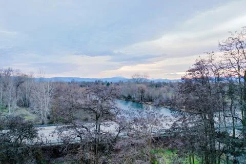 Leafless trees surrounding a bridge and a river Stock Photos