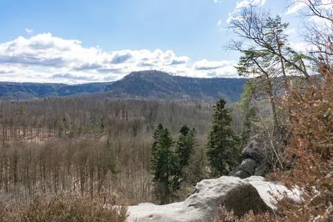 Leafless valley forest between the mountains with cloudy sky Stock Photos