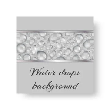 Leaflet with drops of water Stock Illustration