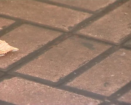 Leaflet Stock Footage 8839154