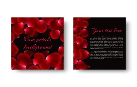 Leaflet with red rose petals Stock Illustration