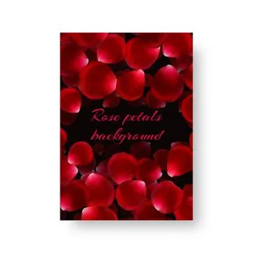 Leaflet with rose petals Stock Illustration