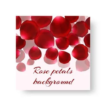 Leaflet template with red petals Stock Illustration