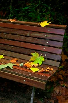 Leafs in bench Stock Photos
