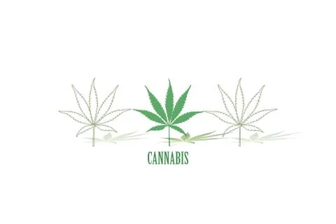 Leafs of cannabis background Stock Illustration