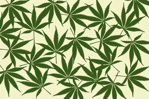 Leafs of cannabis background,abstract background Stock Illustration