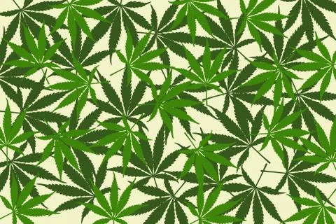 Leafs of cannabis background,abstract background Stock Illustration