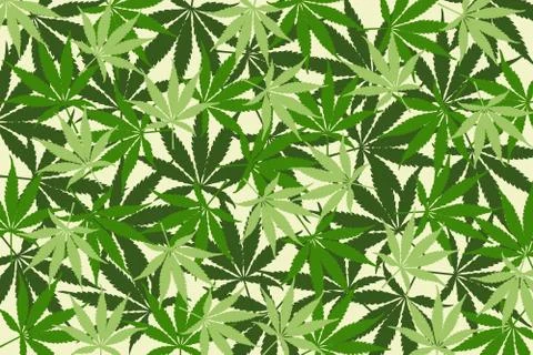 Leafs of cannabis background,abstract background Stock Illustration
