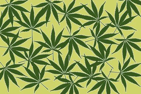 Leafs of cannabis background,abstract background Stock Illustration