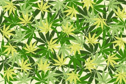Leafs of cannabis background,abstract background Stock Illustration