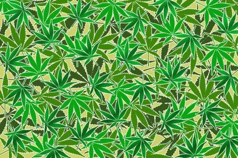 Leafs of cannabis background,abstract background Stock Illustration