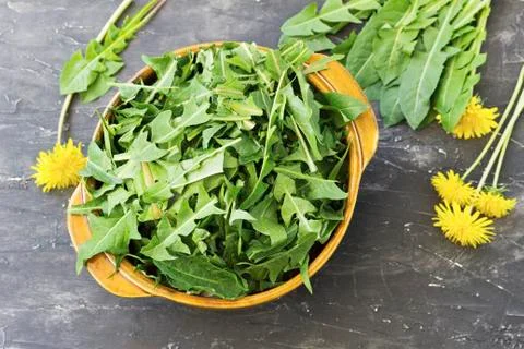Leafs of a dandelion Stock Photos