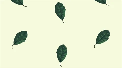 Leafs ecology animation pattern in green background Video stock 138978283