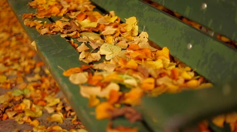 Leafs falling over bench in a park Stock Footage 41437203