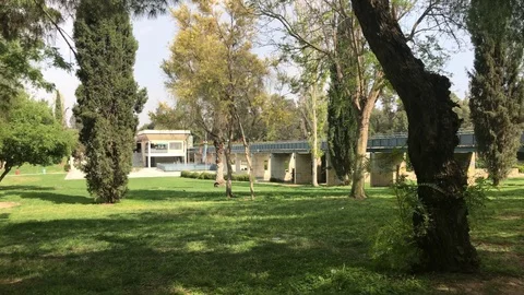 Leafs Falling from the Trees at the park in Nicosia Stock Footage 89943309