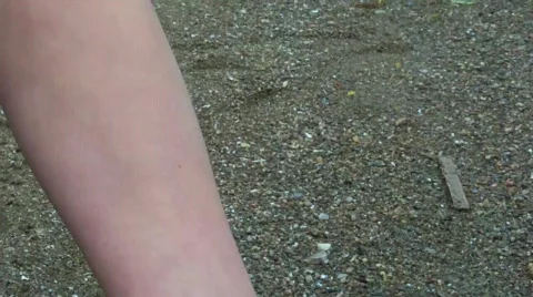 Leafs on hand Stock Footage 397183