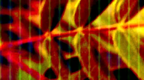 Leafs n stripes Stock Footage 17331321