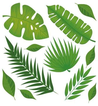 Leafs palms pattern Stockillustratie